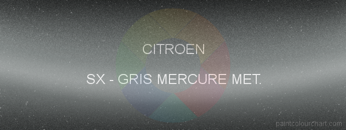 Citroen paint SX Gris Mercure Met.