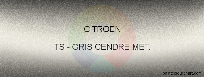 TS Gris Cendre Met. for Citroen bodywork | PaintColourChart.com