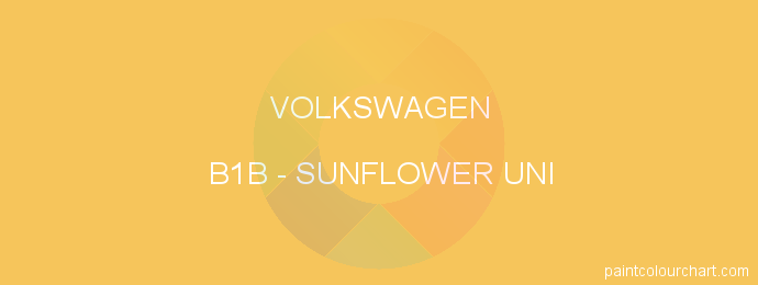 Volkswagen paint B1B Sunflower Uni
